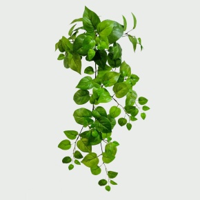 Ветка Эпипремнум, 64см, зеленый в интернет-магазине флористических аксессуаров Азалия Декор