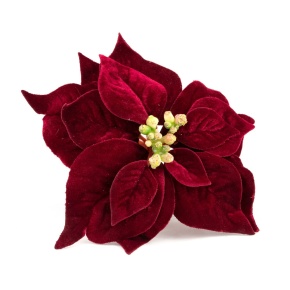 Пуансетия на вставке, 20см, бордовый в интернет-магазине флористических аксессуаров Азалия Декор