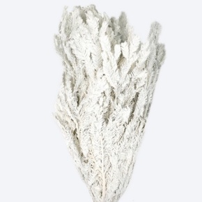 Ель флок РФ в интернет-магазине флористических аксессуаров Азалия Декор