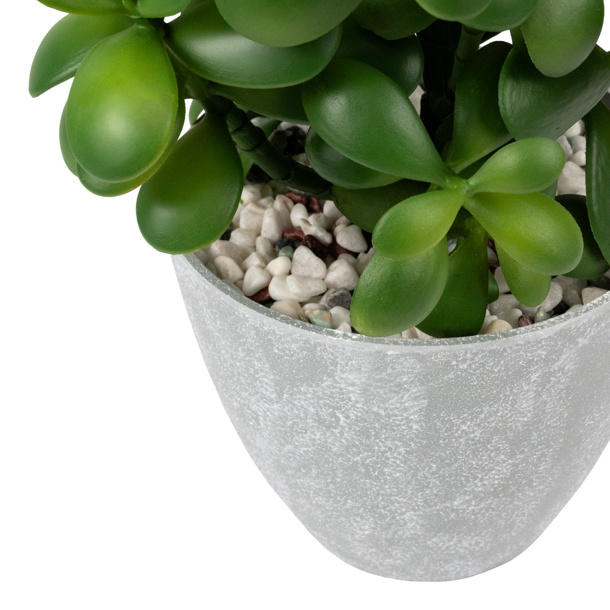 Крассула в кашпо, 41см, зеленый в интернет-магазине флористических аксессуаров Азалия Декор