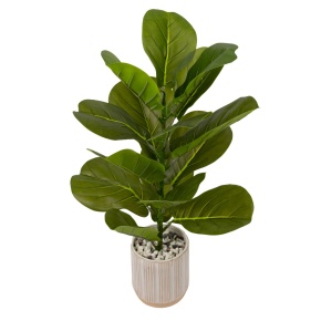 Фикус в кашпо, 58см, зеленый в интернет-магазине флористических аксессуаров Азалия Декор