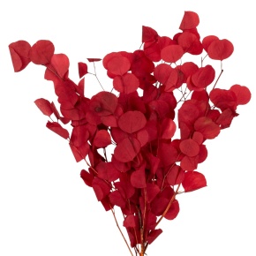 Эвкалипт 100гр., 70 см, красный в интернет-магазине флористических аксессуаров Азалия Декор