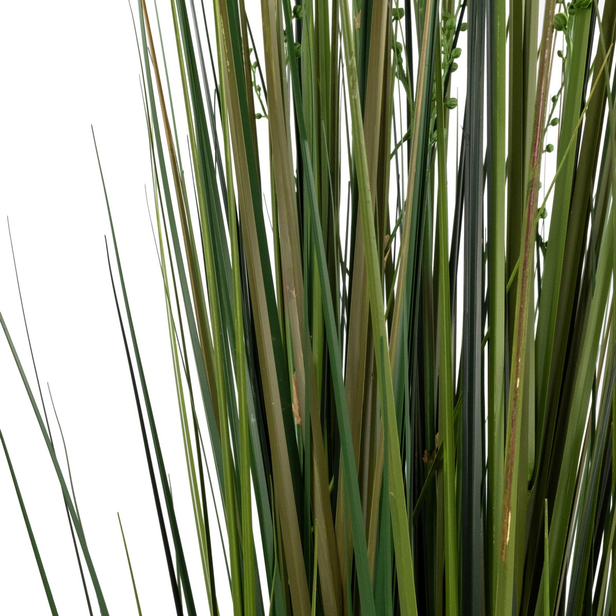 Пампасная трава в кашпо, 153см, зеленый в интернет-магазине флористических аксессуаров Азалия Декор