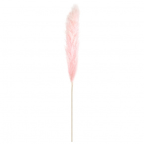 Пампасная трава, 120 см, светло-розовый в интернет-магазине флористических аксессуаров Азалия Декор