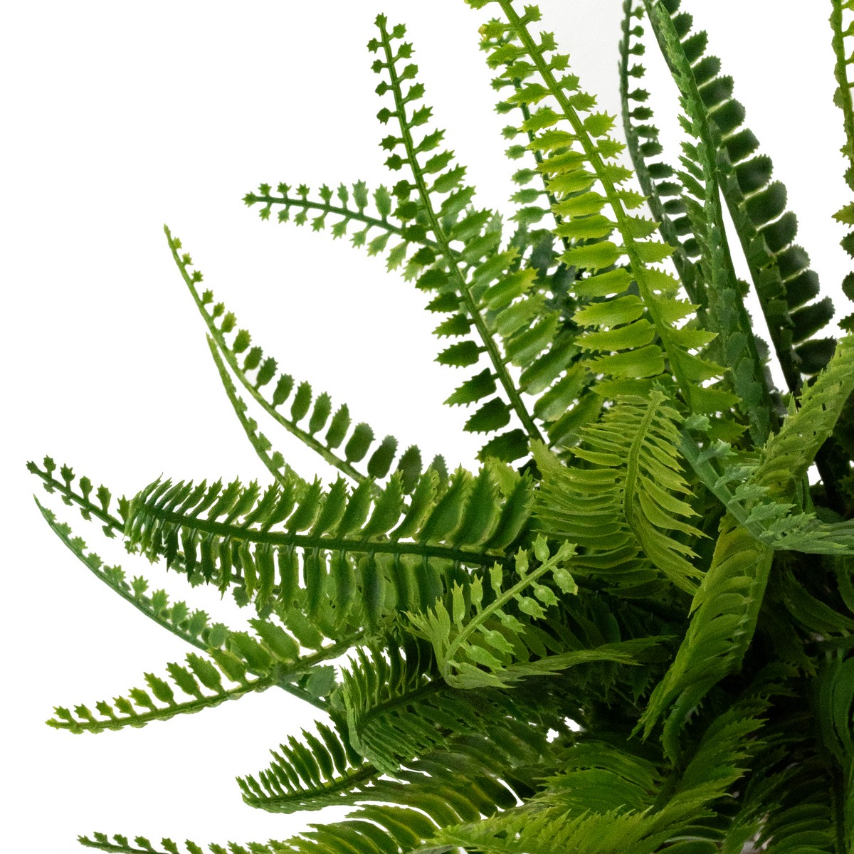 Папоротник в кашпо, 32см, зеленый в интернет-магазине флористических аксессуаров Азалия Декор