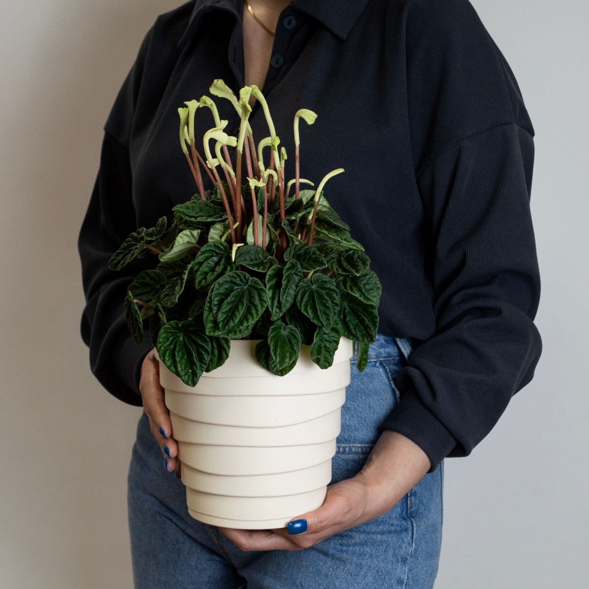 Кашпо Бархан (пластик), D18xH17см, 2,25л, кремовый в интернет-магазине флористических аксессуаров Азалия Декор