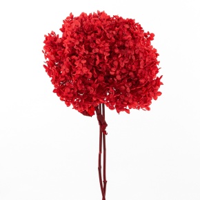 Гортензия, 60-65 см, красный в интернет-магазине флористических аксессуаров Азалия Декор