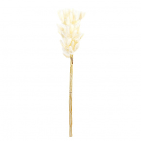 Набор лагуруса 50шт., 65 см, белый в интернет-магазине флористических аксессуаров Азалия Декор