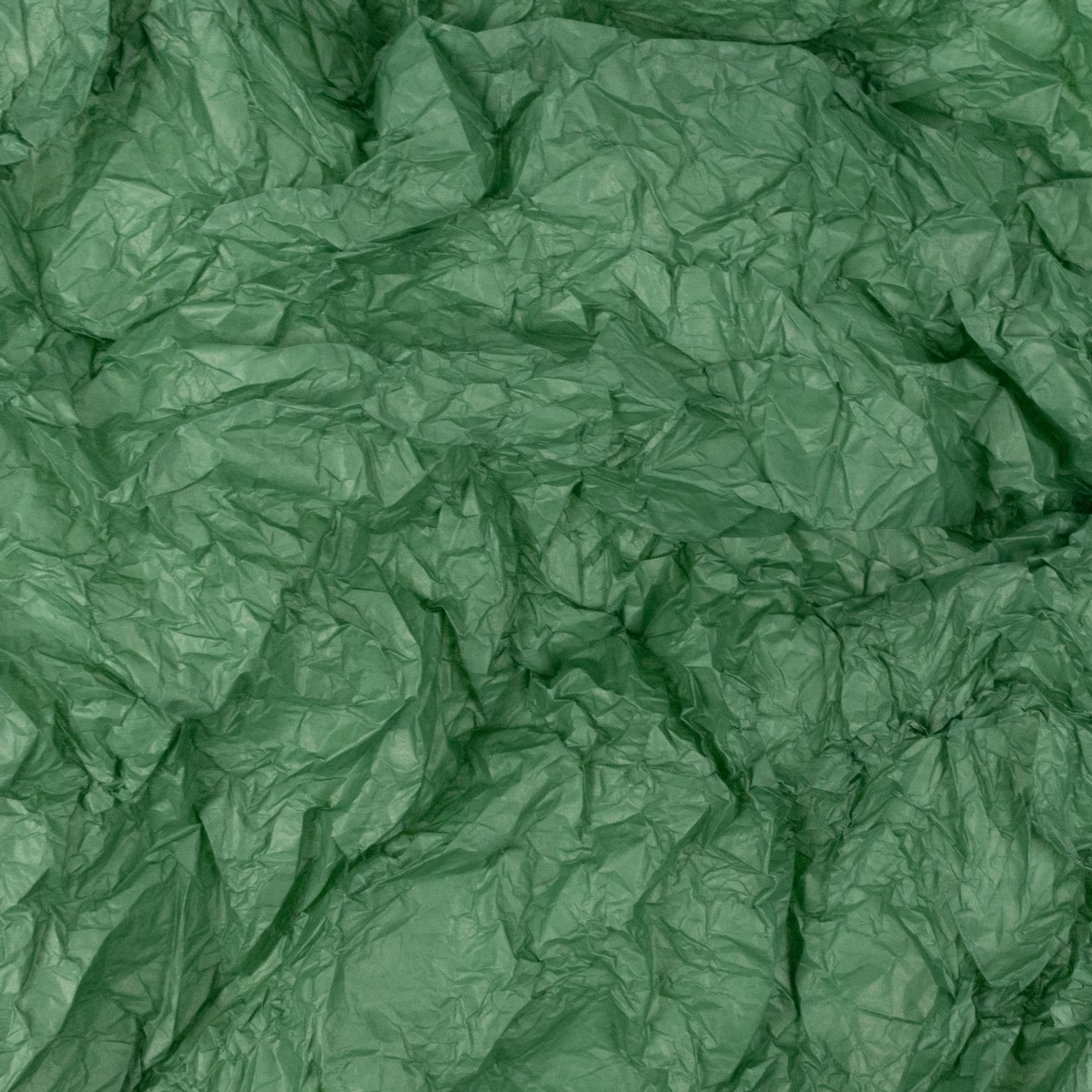 Бумага тишью 10 шт., 50x66 см, темно-зеленый в интернет-магазине флористических аксессуаров Азалия Декор