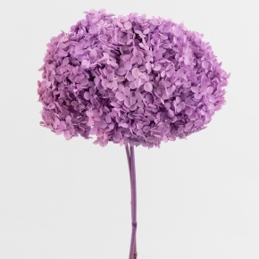 Гортензия, 60-65 см, сиреневый в интернет-магазине флористических аксессуаров Азалия Декор