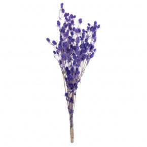 Набор эрингиума 80гр, 70 см, сиреневый в интернет-магазине флористических аксессуаров Азалия Декор