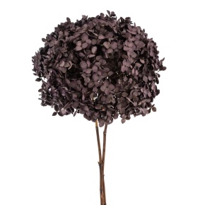 Гортензия, 60-65 см, темно-лиловый в интернет-магазине флористических аксессуаров Азалия Декор