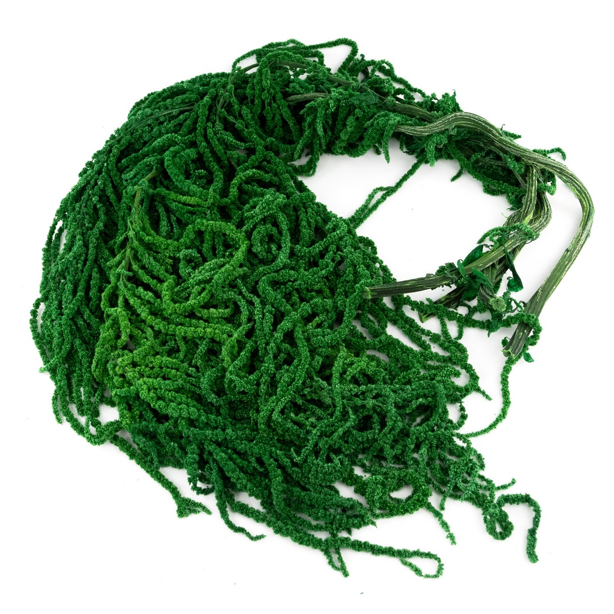 Набор Амарантуса 5шт., 100 см, зеленый в интернет-магазине флористических аксессуаров Азалия Декор