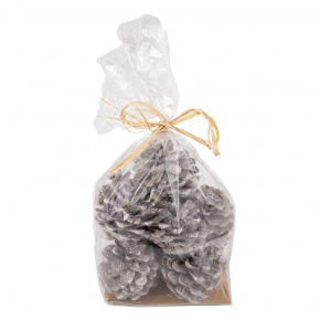 Набор шишек 10шт., 5-7см, отбеленный в интернет-магазине флористических аксессуаров Азалия Декор