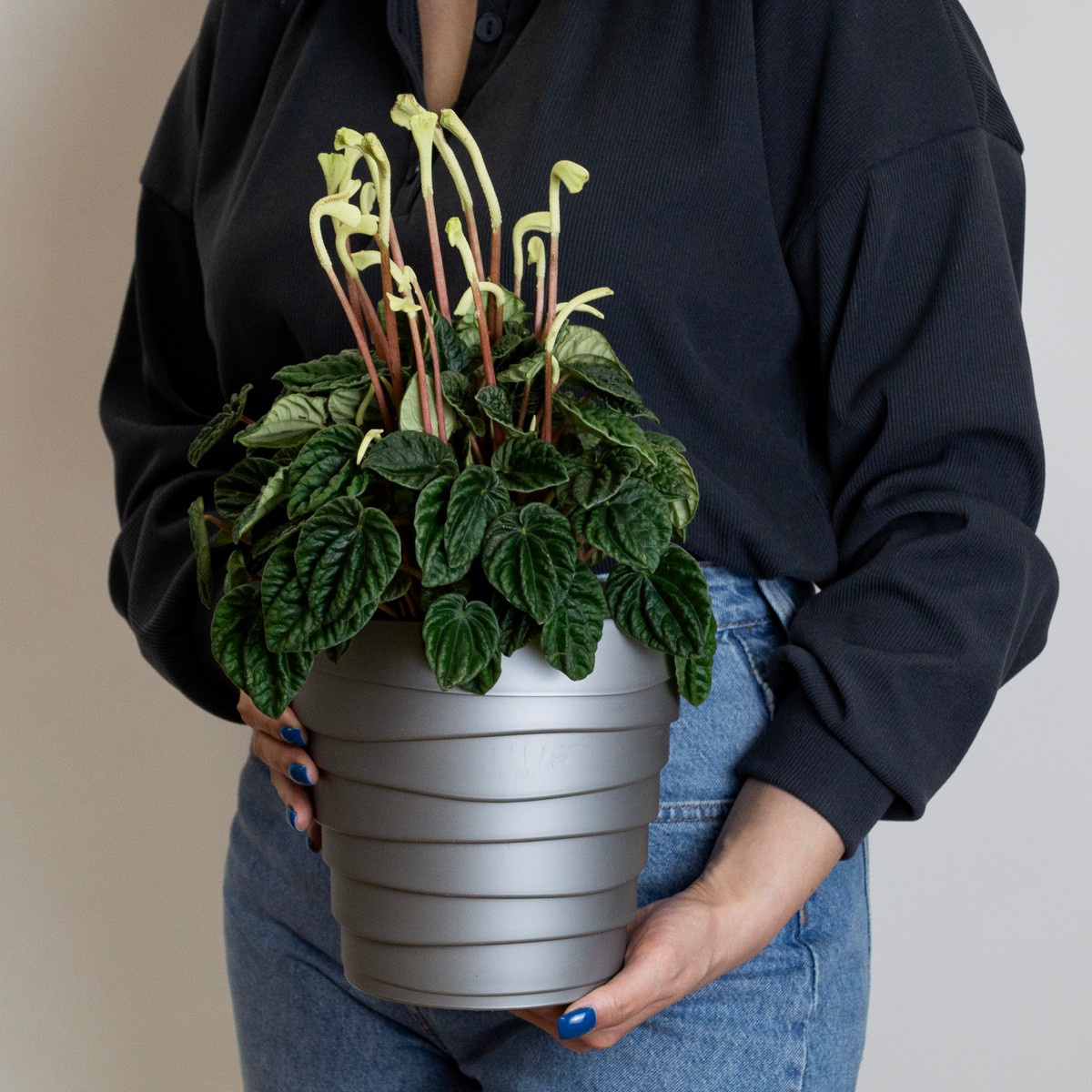 Кашпо Бархан (пластик), D18xH17см, 2,25л, серебряный в интернет-магазине флористических аксессуаров Азалия Декор