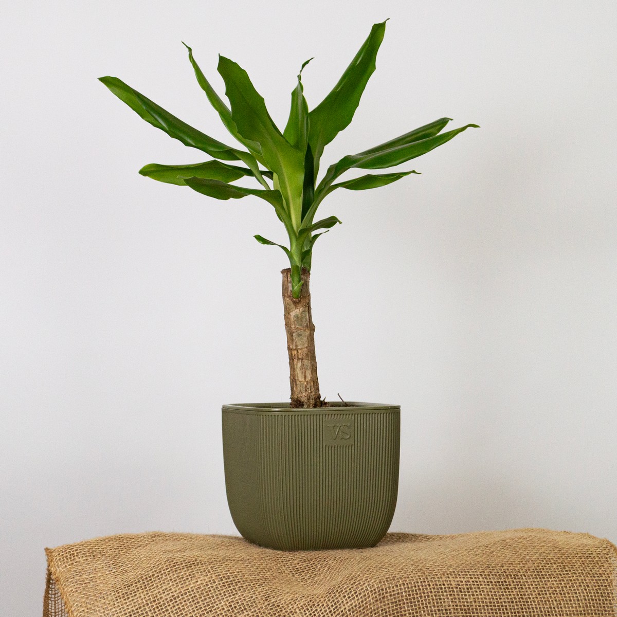 Кашпо Фабио (пластик), D14xH14см, 1,95л, зеленый в интернет-магазине флористических аксессуаров Азалия Декор