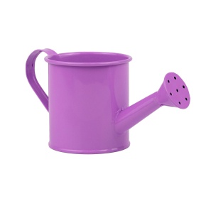 Кашпо Лейка (металл), D7,5x19хH7,5см, фиолетовый в интернет-магазине флористических аксессуаров Азалия Декор