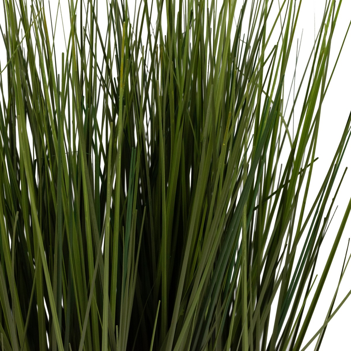 Тростник к кашпо, 46см, зеленый в интернет-магазине флористических аксессуаров Азалия Декор
