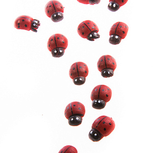 Набор божьих коровок на стикерах, 1.3х1см, 360шт., красный в интернет-магазине флористических аксессуаров Азалия Декор