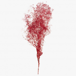 Набор Гипсофилы 50гр, 60 см, красный в интернет-магазине флористических аксессуаров Азалия Декор