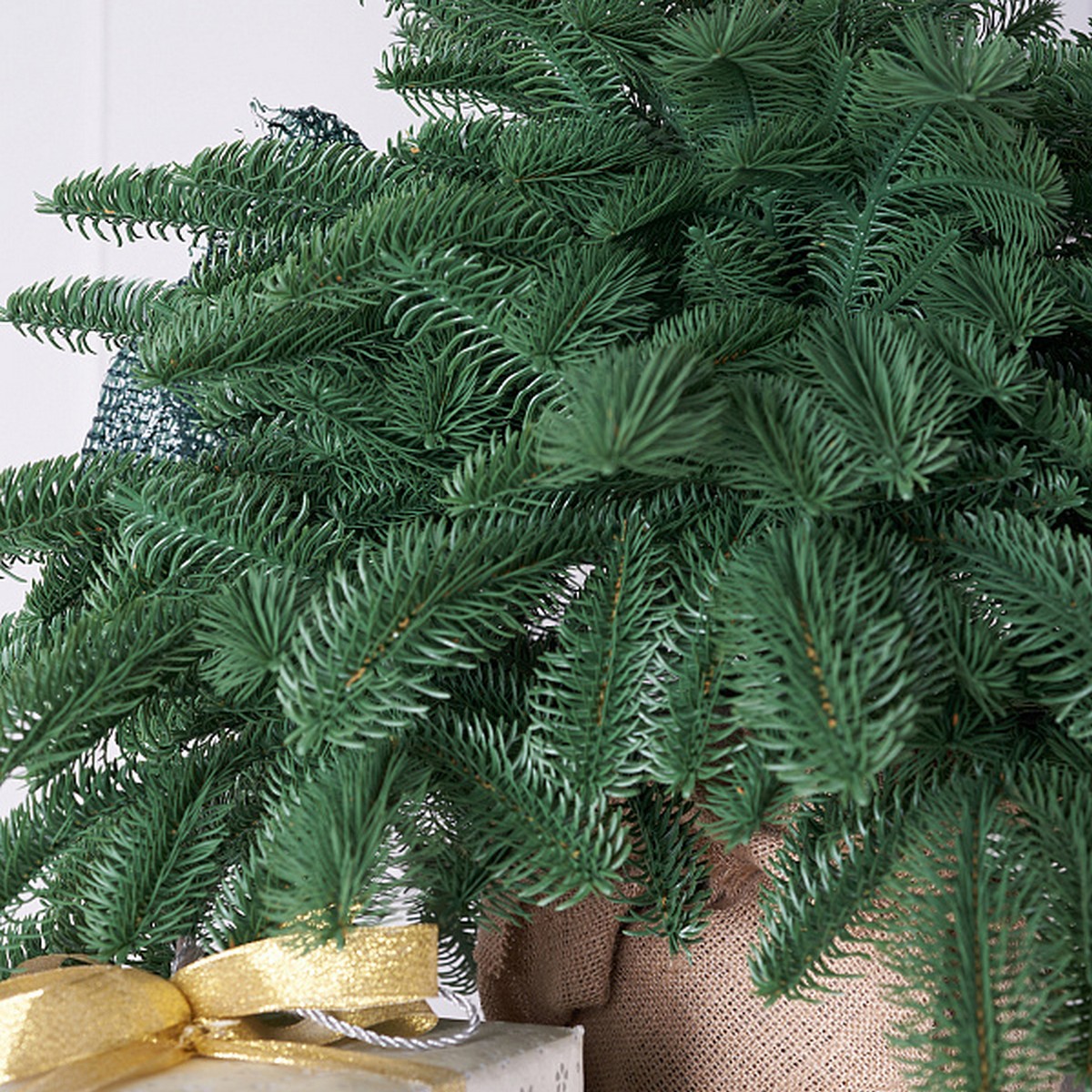 Ель настольная Датская (РЕ), 60см, зеленый в интернет-магазине флористических аксессуаров Азалия Декор