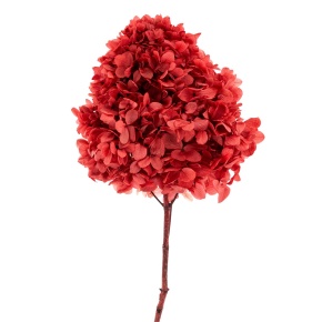 Гортензия метельчатая, 50см, красно-зеленый в интернет-магазине флористических аксессуаров Азалия Декор