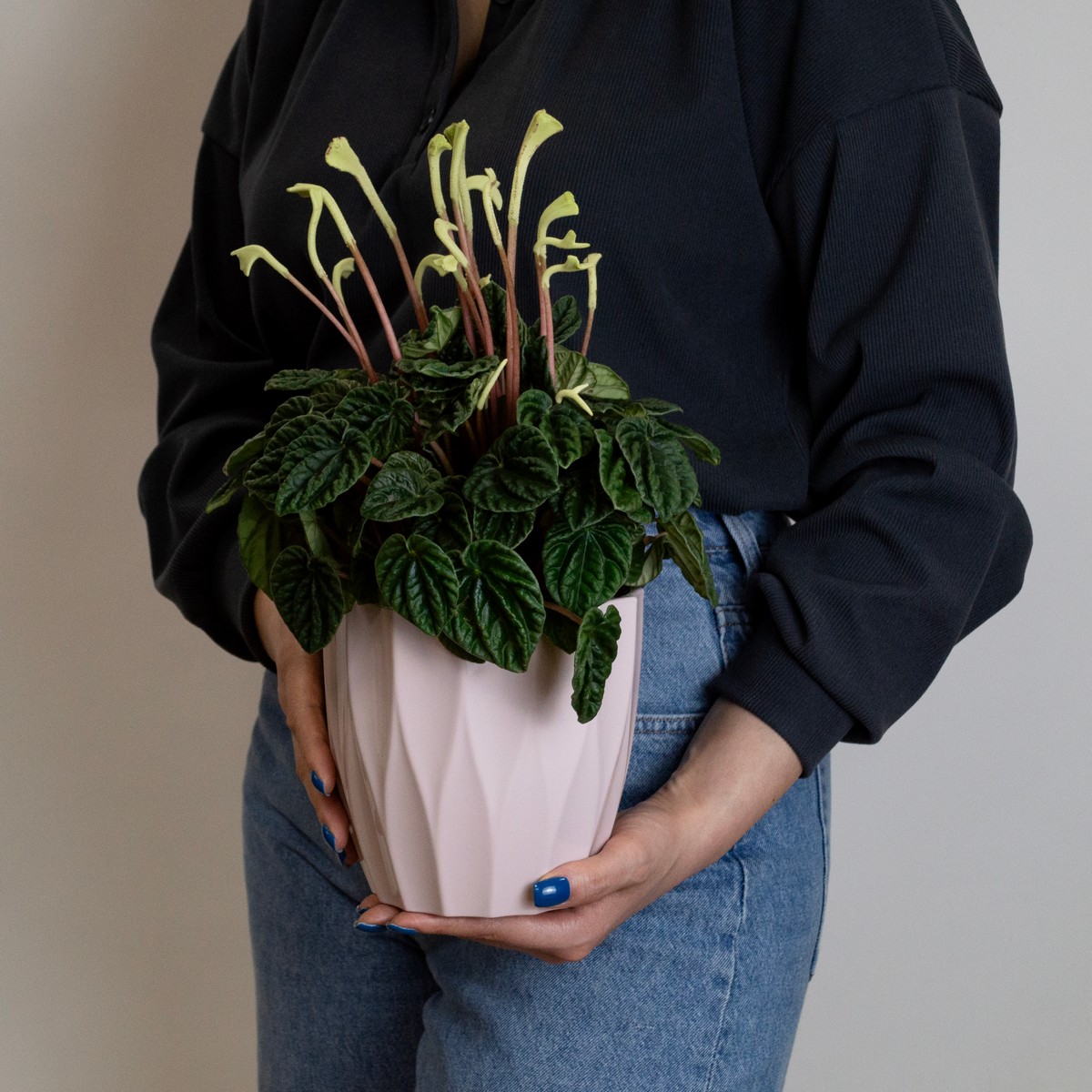 Кашпо Флюте со вставкой (пластик), D16xH14,5, 1,9л, светло-розовый в интернет-магазине флористических аксессуаров Азалия Декор