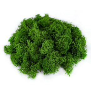 Мох ягель 400гр., светло-зеленый в интернет-магазине флористических аксессуаров Азалия Декор