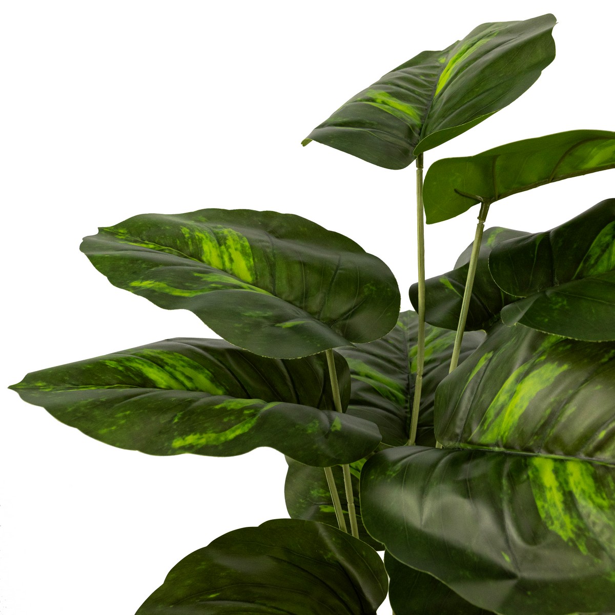 Потос в кашпо (пластик), 68см, зеленый в интернет-магазине флористических аксессуаров Азалия Декор