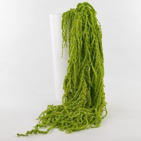 Набор Амарантуса 5шт., 100 см, темно-зеленый в интернет-магазине флористических аксессуаров Азалия Декор