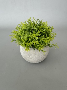 Растение в кашпо, H12x12см, светло-зеленый в интернет-магазине флористических аксессуаров Азалия Декор