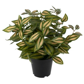 Традесканция в кашпо, 39см, зеленый в интернет-магазине флористических аксессуаров Азалия Декор