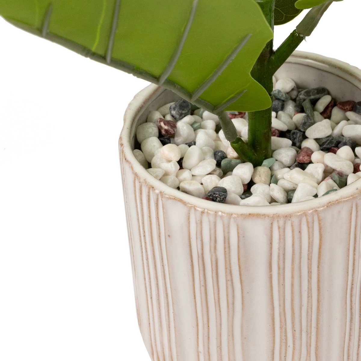 Фикус в кашпо, 58см, зеленый в интернет-магазине флористических аксессуаров Азалия Декор