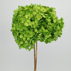 Гортензия, 60-65 см, хаки в интернет-магазине флористических аксессуаров Азалия Декор