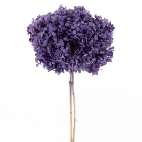 Гортензия, 60-65 см, лиловый в интернет-магазине флористических аксессуаров Азалия Декор