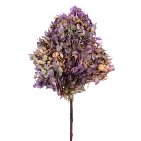 Гортензия метельчатая, 50см, сиренево-зеленый в интернет-магазине флористических аксессуаров Азалия Декор