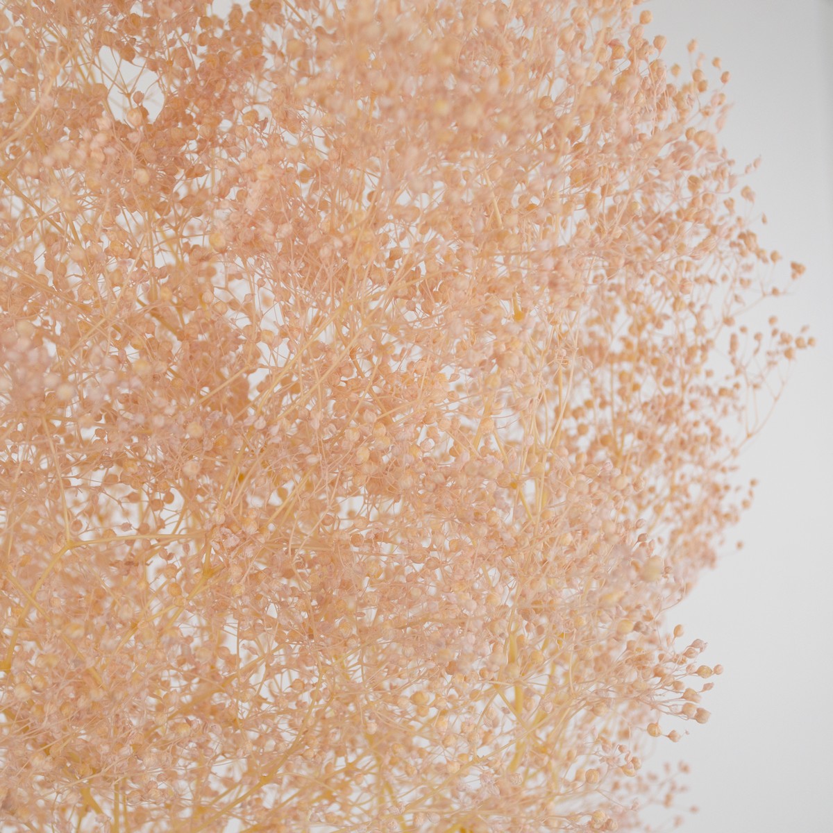 Набор Гипсофилы 50гр, 60 см, светло-розовый в интернет-магазине флористических аксессуаров Азалия Декор