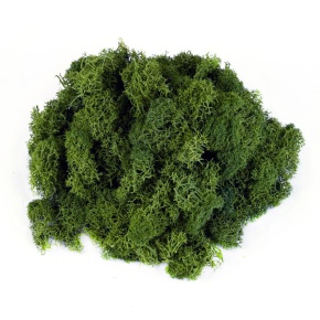 Мох ягель 400гр., хаки в интернет-магазине флористических аксессуаров Азалия Декор