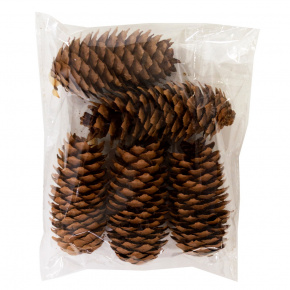 Набор шишек еловых 5 шт., 7-10см, натуральный в интернет-магазине флористических аксессуаров Азалия Декор