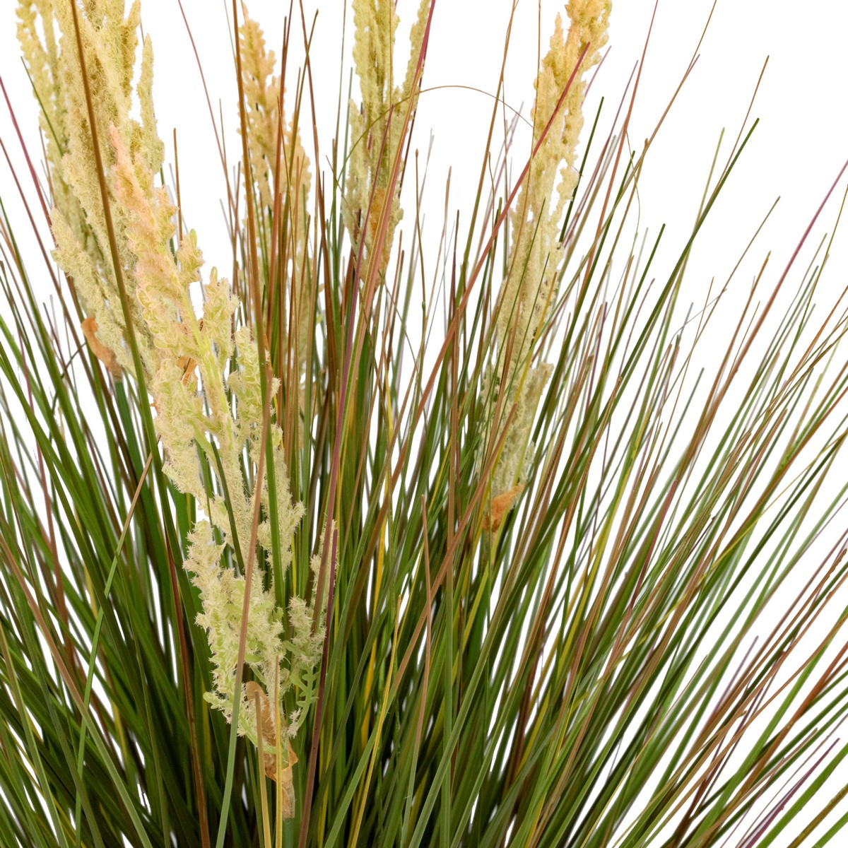 Пампасная трава в кашпо, 76см, зеленый в интернет-магазине флористических аксессуаров Азалия Декор