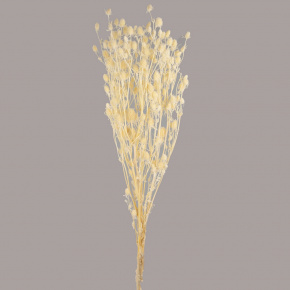 Набор эрингиума 80гр, 70 см, белый в интернет-магазине флористических аксессуаров Азалия Декор