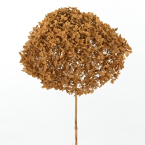 Гортензия, 60-65 см, охра в интернет-магазине флористических аксессуаров Азалия Декор