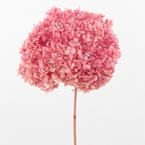 Гортензия, 60-65 см, розовый в интернет-магазине флористических аксессуаров Азалия Декор