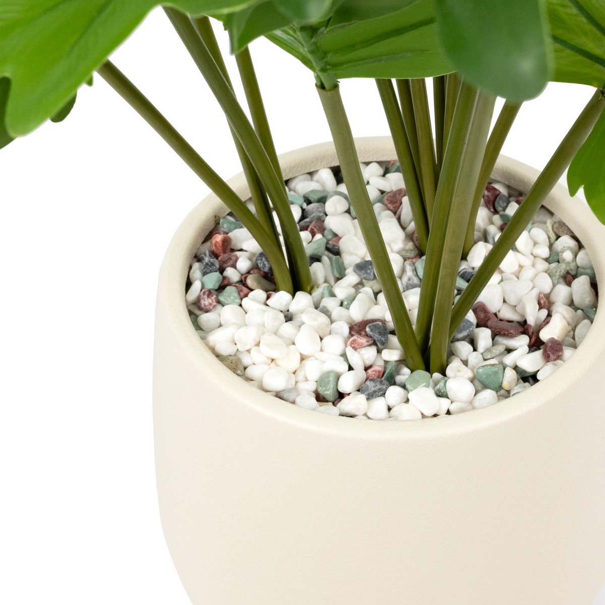 Филодендрон в кашпо, 81см, зеленый в интернет-магазине флористических аксессуаров Азалия Декор