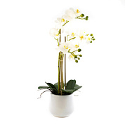 Орхидея х3 в кашпо, 61 см, белый/12шт. в интернет-магазине флористических аксессуаров Азалия Декор
