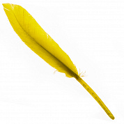 Набор перьев, 24 шт., 14см, лимонный в интернет-магазине флористических аксессуаров Азалия Декор