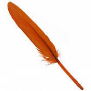 Набор перьев, 24 шт., 14см, оранжевый в интернет-магазине флористических аксессуаров Азалия Декор