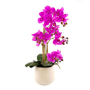 Орхидея х5 в кашпо, 61 см, фуксия/6шт. в интернет-магазине флористических аксессуаров Азалия Декор
