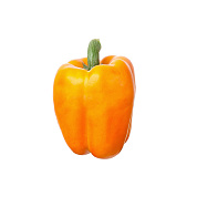 Перец искусственный, 8x7 см, оранжевый/288 шт. в интернет-магазине флористических аксессуаров Азалия Декор