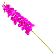 Орхидея, 126 см, фуксия/48шт. в интернет-магазине флористических аксессуаров Азалия Декор